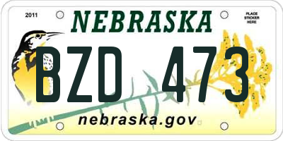 NE license plate BZD473
