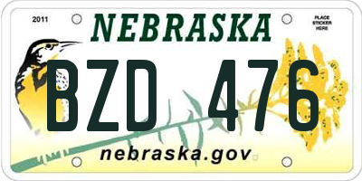 NE license plate BZD476