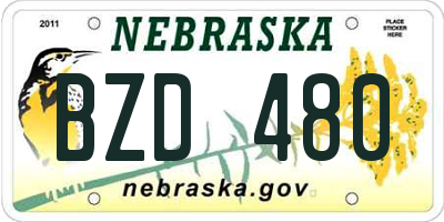 NE license plate BZD480