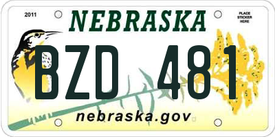 NE license plate BZD481