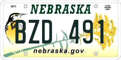 NE license plate BZD491