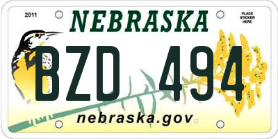 NE license plate BZD494