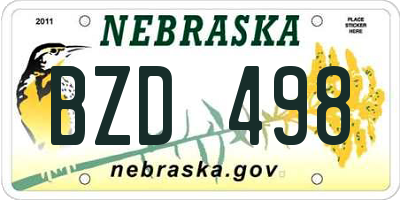 NE license plate BZD498