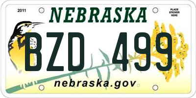 NE license plate BZD499