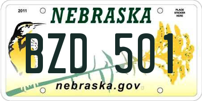 NE license plate BZD501