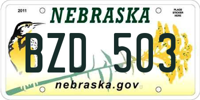 NE license plate BZD503
