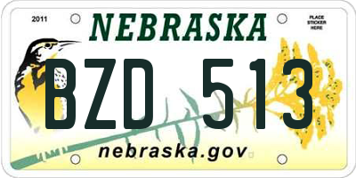 NE license plate BZD513