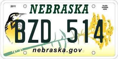NE license plate BZD514