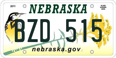 NE license plate BZD515