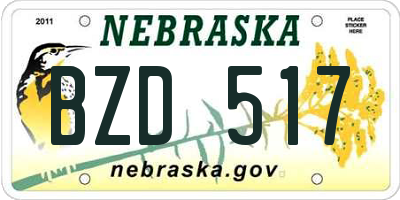 NE license plate BZD517