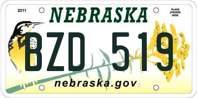 NE license plate BZD519