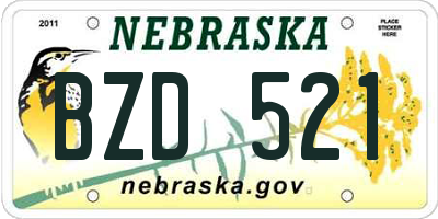 NE license plate BZD521