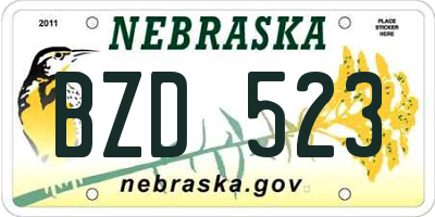 NE license plate BZD523