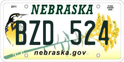 NE license plate BZD524