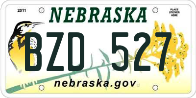 NE license plate BZD527