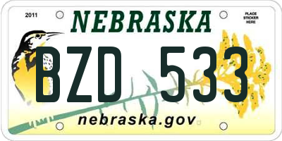 NE license plate BZD533