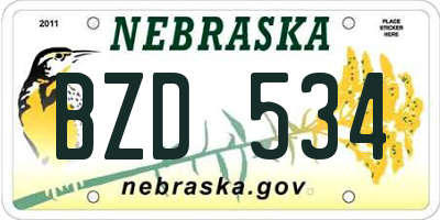 NE license plate BZD534