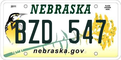 NE license plate BZD547