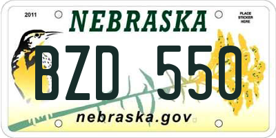 NE license plate BZD550