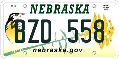 NE license plate BZD558