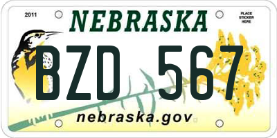 NE license plate BZD567