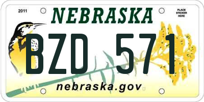 NE license plate BZD571