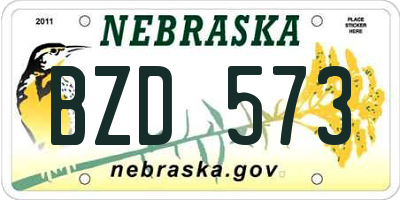 NE license plate BZD573