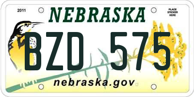 NE license plate BZD575