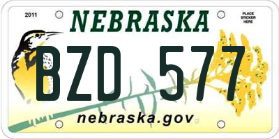 NE license plate BZD577