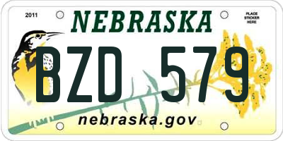 NE license plate BZD579