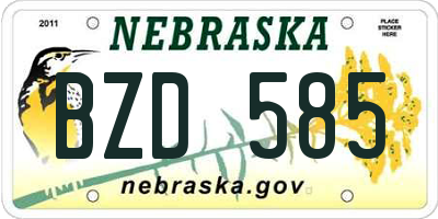 NE license plate BZD585
