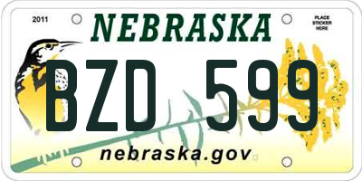 NE license plate BZD599