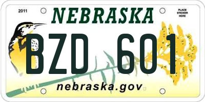 NE license plate BZD601