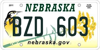 NE license plate BZD603