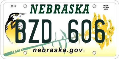 NE license plate BZD606