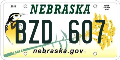 NE license plate BZD607