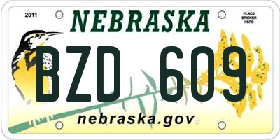NE license plate BZD609