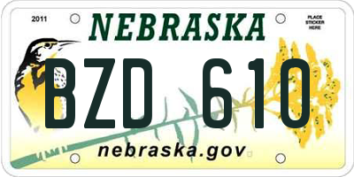 NE license plate BZD610