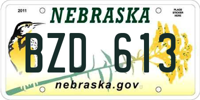 NE license plate BZD613