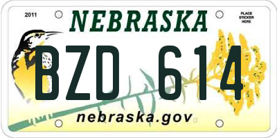 NE license plate BZD614