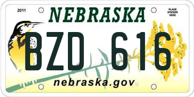 NE license plate BZD616