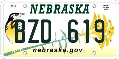 NE license plate BZD619