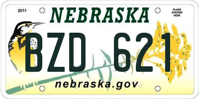 NE license plate BZD621