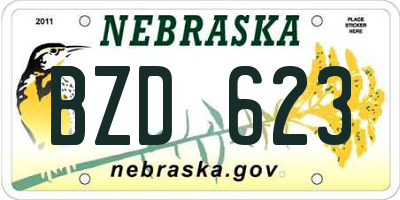 NE license plate BZD623