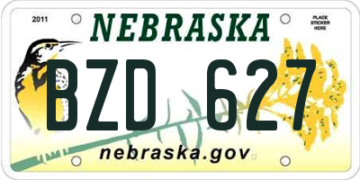 NE license plate BZD627