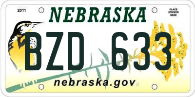 NE license plate BZD633