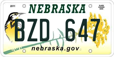NE license plate BZD647