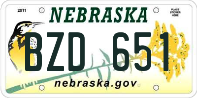 NE license plate BZD651
