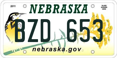 NE license plate BZD653