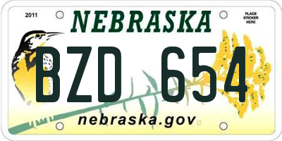 NE license plate BZD654